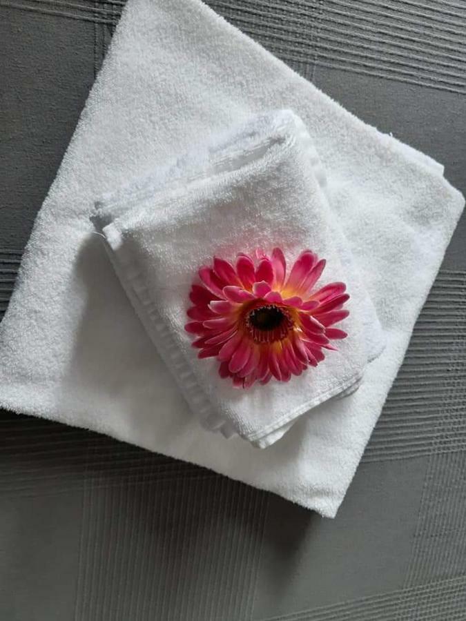 Magnolia Hotel Valmontone Buitenkant foto